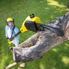 Best Stump Grinding and Removal  in Tarrytown, NY